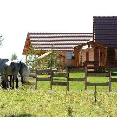 圣法尔若Le Hameau Des Grilles别墅 外观 照片